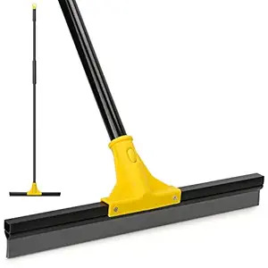 Floor and Window Squeegee